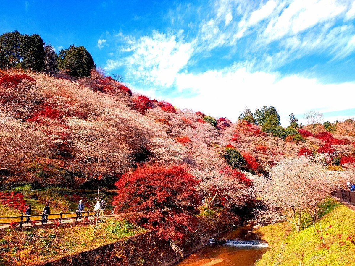 🛍️ 후겐지 만남의 역(후겐지 후레아이노에키) 이미지 5